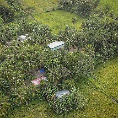 Coconut Park Bed & Breakfast Анурадхапура Екстериор снимка