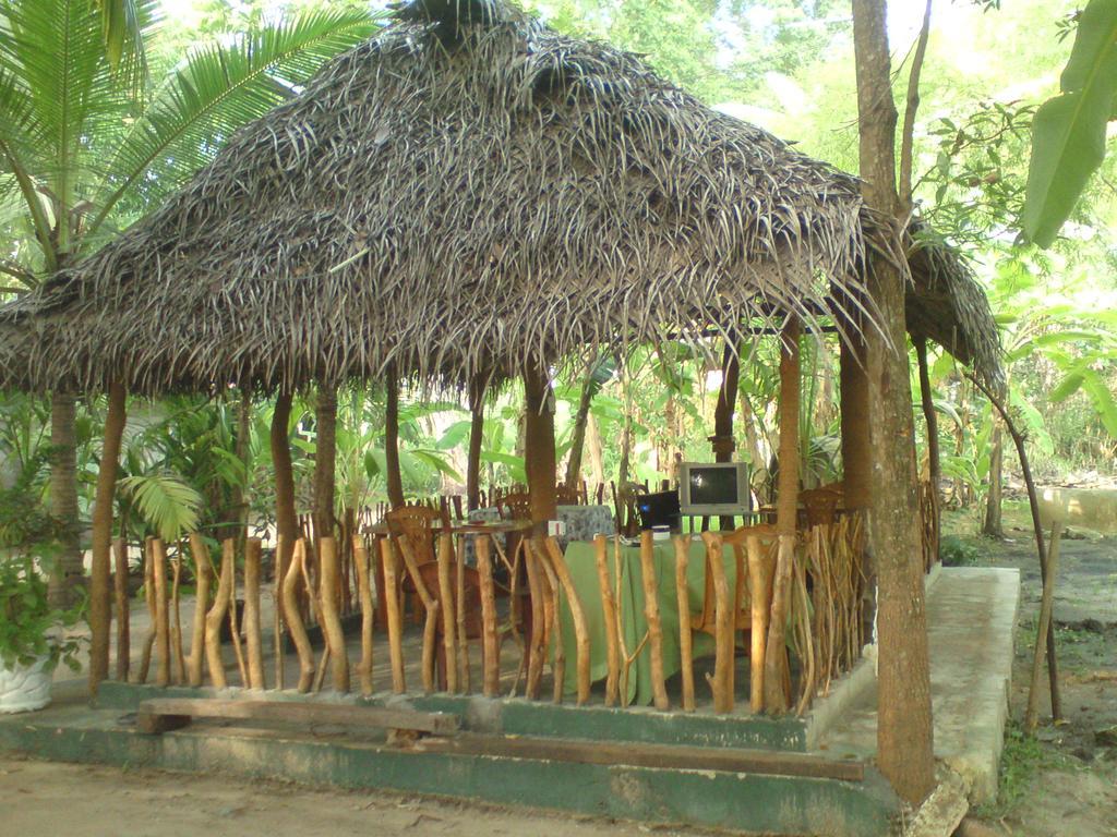 Coconut Park Bed & Breakfast Анурадхапура Екстериор снимка