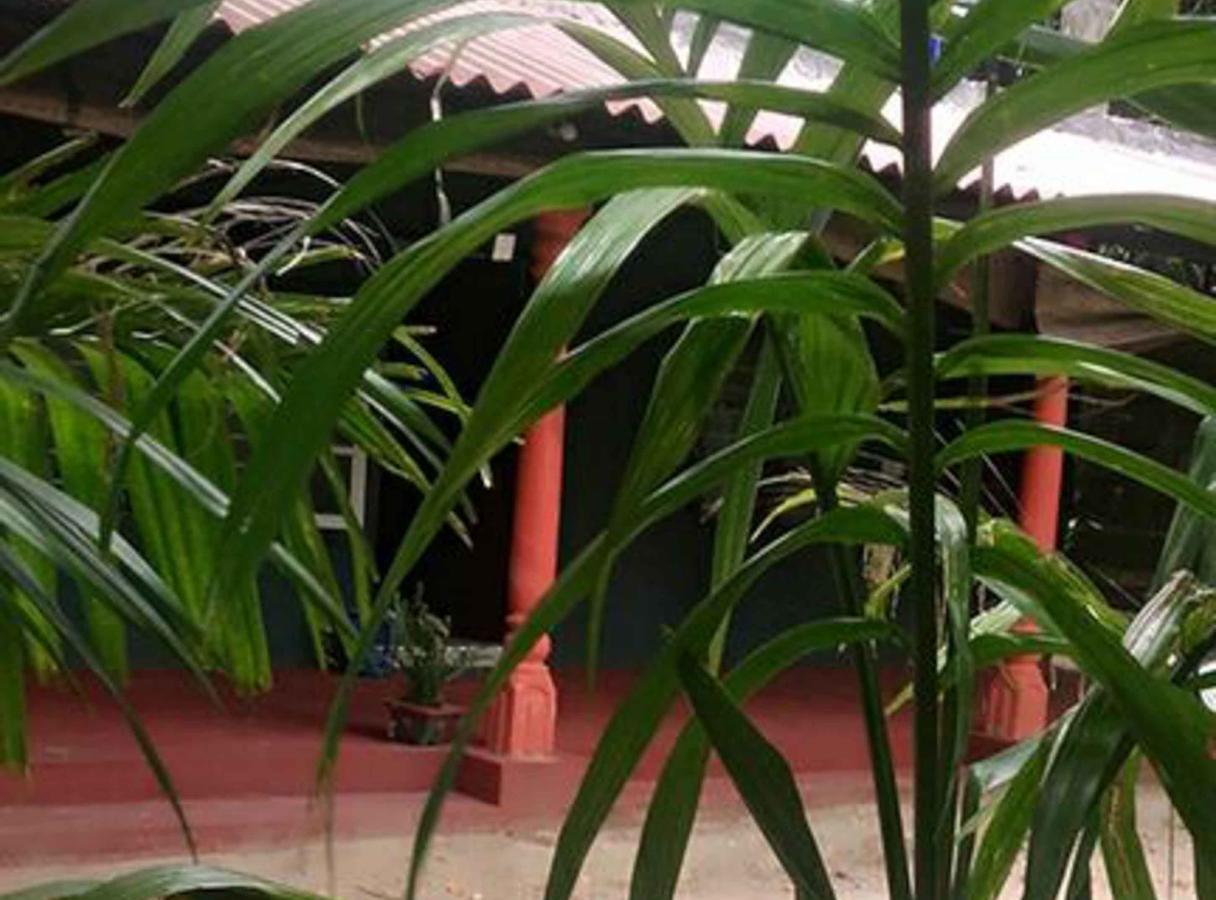 Coconut Park Bed & Breakfast Анурадхапура Екстериор снимка